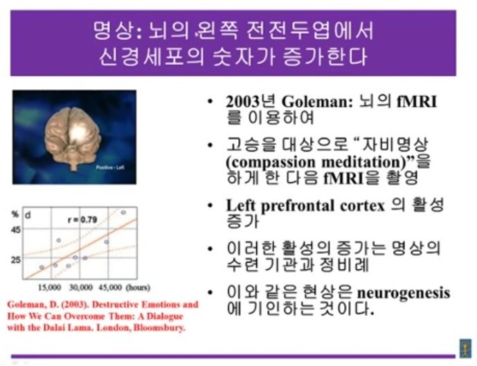 명상의 이득 | 인스티즈