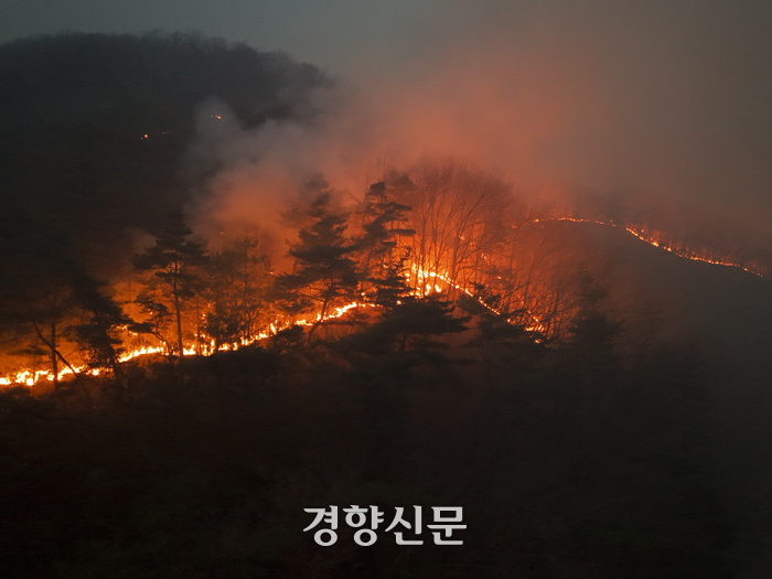 산림청장 "의성·안동 바람 영향 화선 늘어”…오늘 헬기투입 77대까지 확대 | 인스티즈
