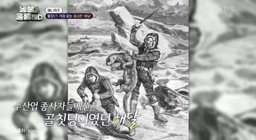 [동훌륭] 떠내려가지 않기 위해 친구 손을 잡고 잔다는 동물 | 인스티즈