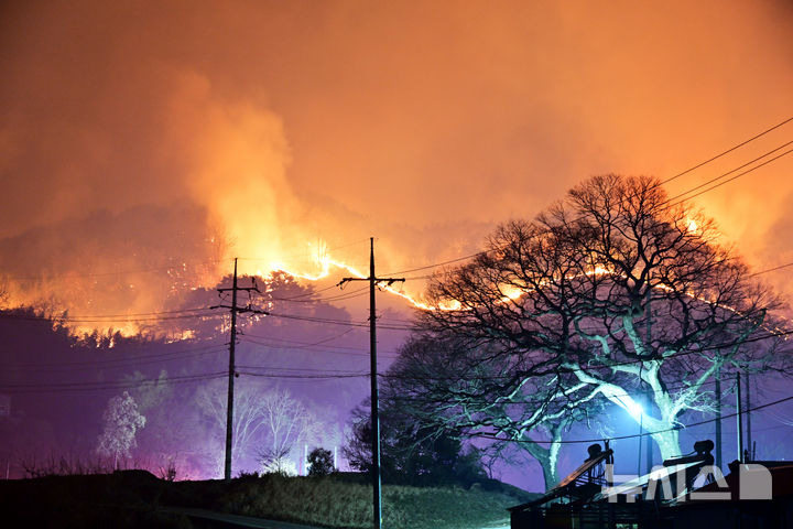 산불이 밀려온 하동 안계마을 | 인스티즈