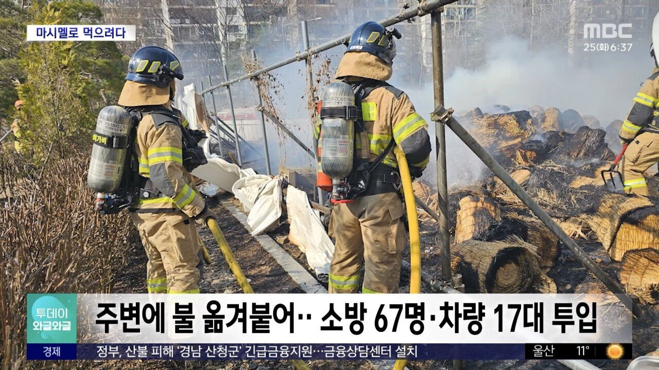 초등학생, "마시멜로 굽다가.." 공원에 불 (25.03.24) | 인스티즈