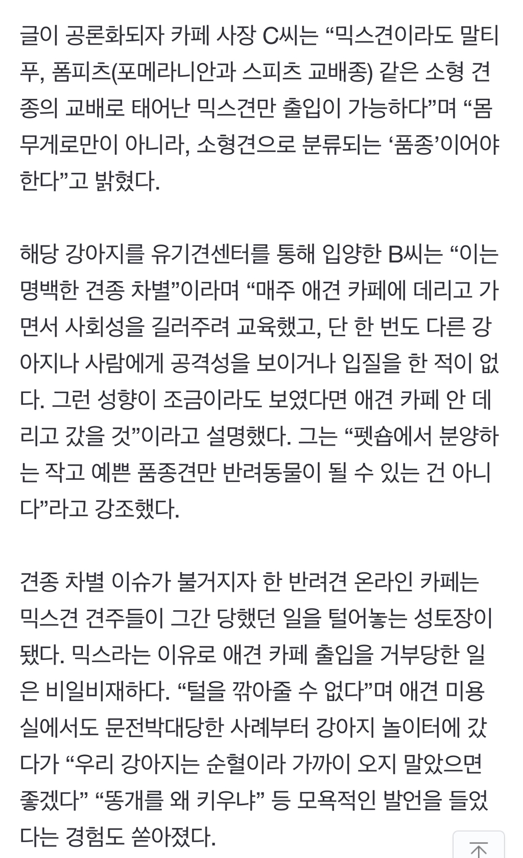 그 많던 요키·시츄 어디로 갔나…유행 견종이 뭐기에 | 인스티즈