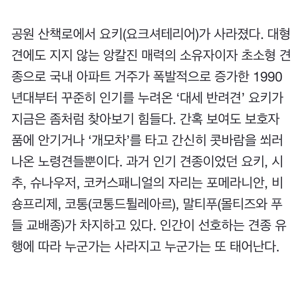 그 많던 요키·시츄 어디로 갔나…유행 견종이 뭐기에 | 인스티즈