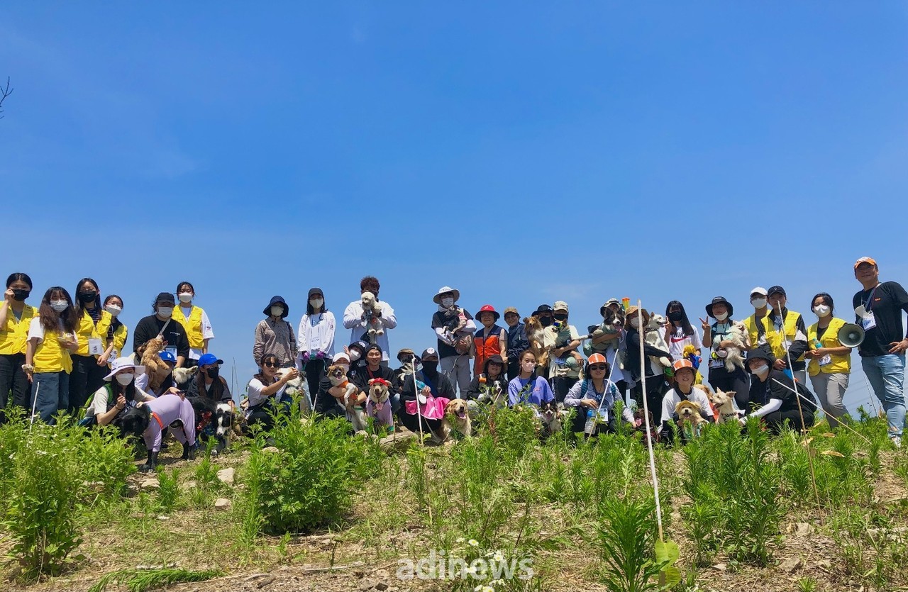 안동 대형산불 잿더미 위에 '산타독'이 희망의 씨앗 뿌리다 | 인스티즈