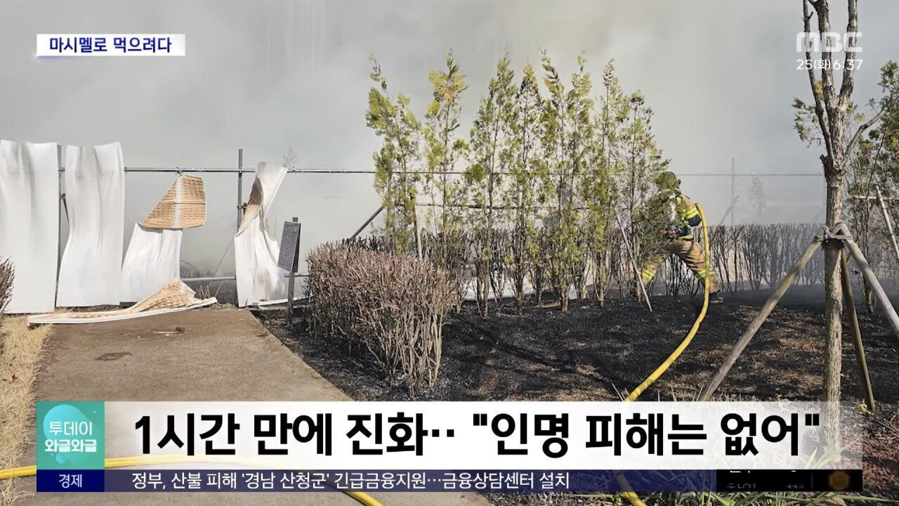 초등학생, "마시멜로 굽다가.." 공원에 불 | 인스티즈