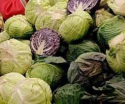 양배추는 신이 내린 선물 중에 하나 | 인스티즈