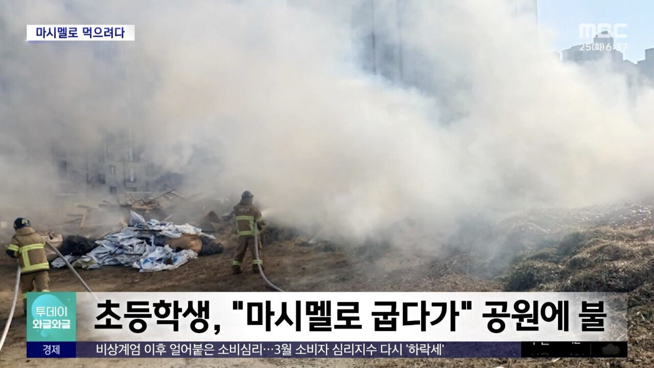 초등학생, "마시멜로 굽다가.." 공원에 불 (25.03.24) | 인스티즈