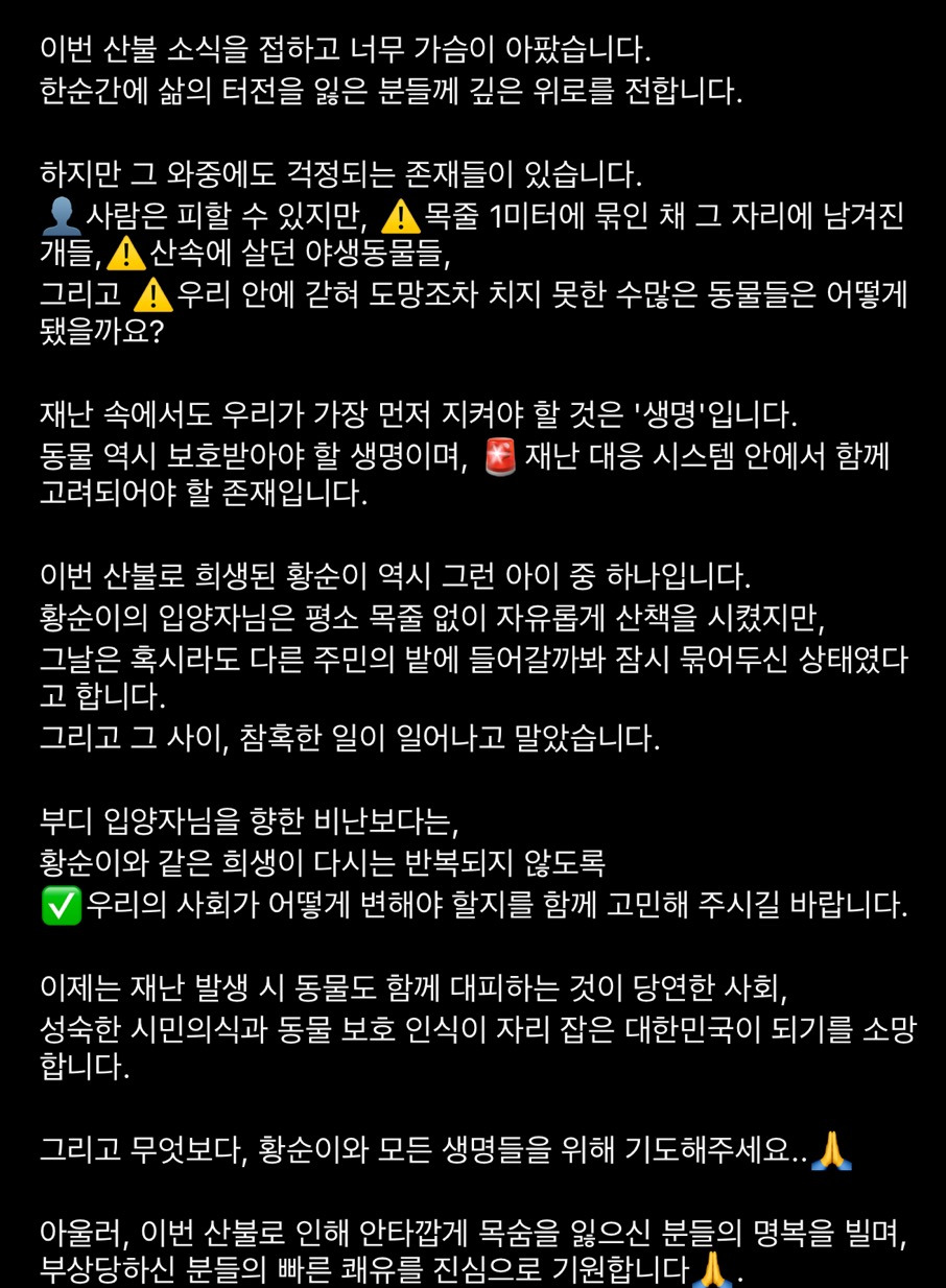 이번 산불로 입양간 황순이가 재가 됐습니다 (사진주의) | 인스티즈