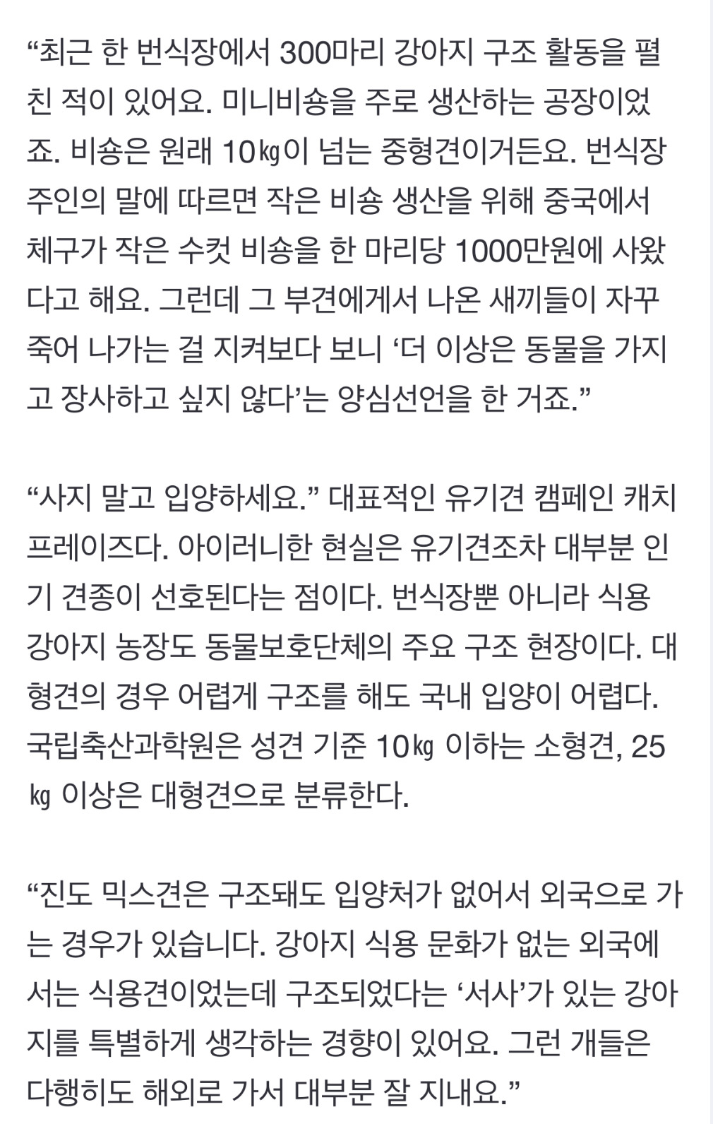 그 많던 요키·시츄 어디로 갔나…유행 견종이 뭐기에 | 인스티즈