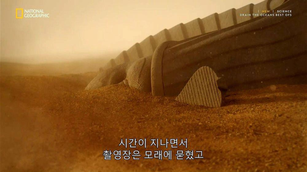 최근 새롭게 발굴된 스핑크스 | 인스티즈