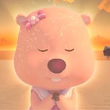 ๐๐๐ํ๋ฐ๋ฐ๐๐๐ | ์ธ์คํฐ์ฆ