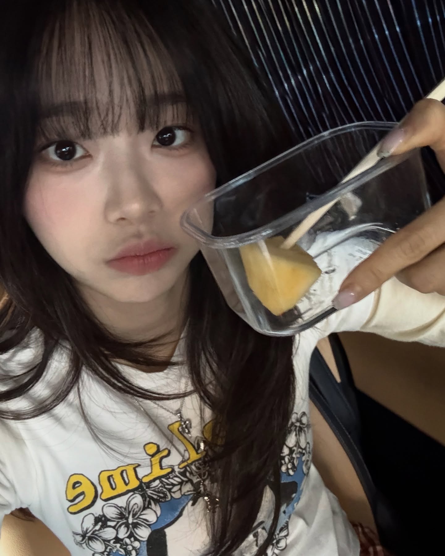 은근 사랑스러운 츄 근황.jpg | 인스티즈