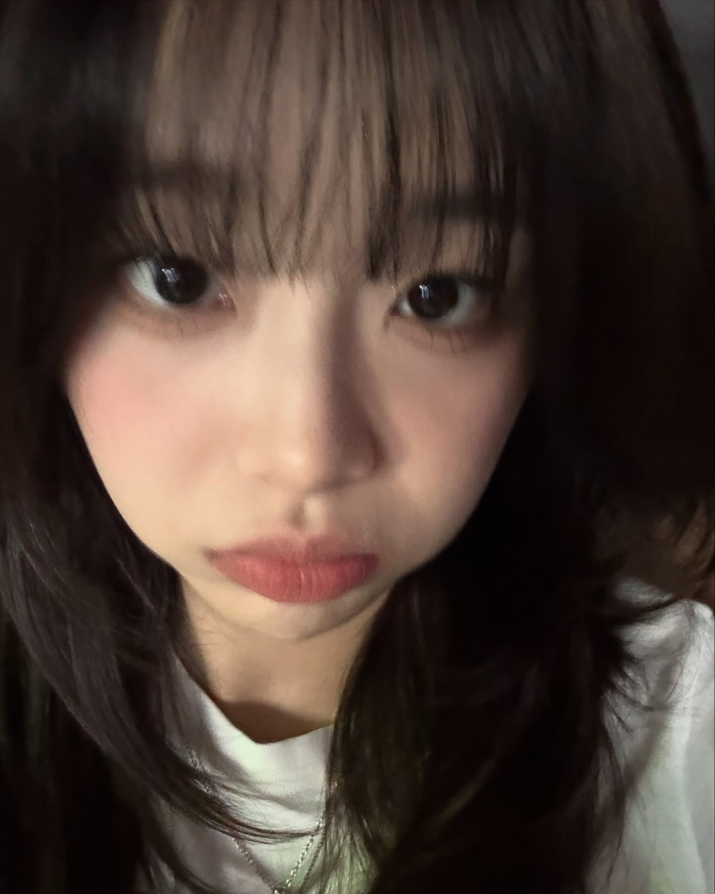 은근 사랑스러운 츄 근황.jpg | 인스티즈