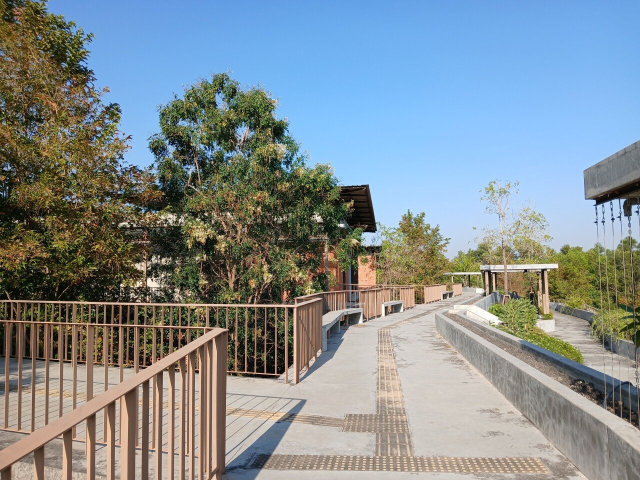 파충류, 벌레 주의) 해외여행 가서 뱀을 찾는 남자 | 인스티즈