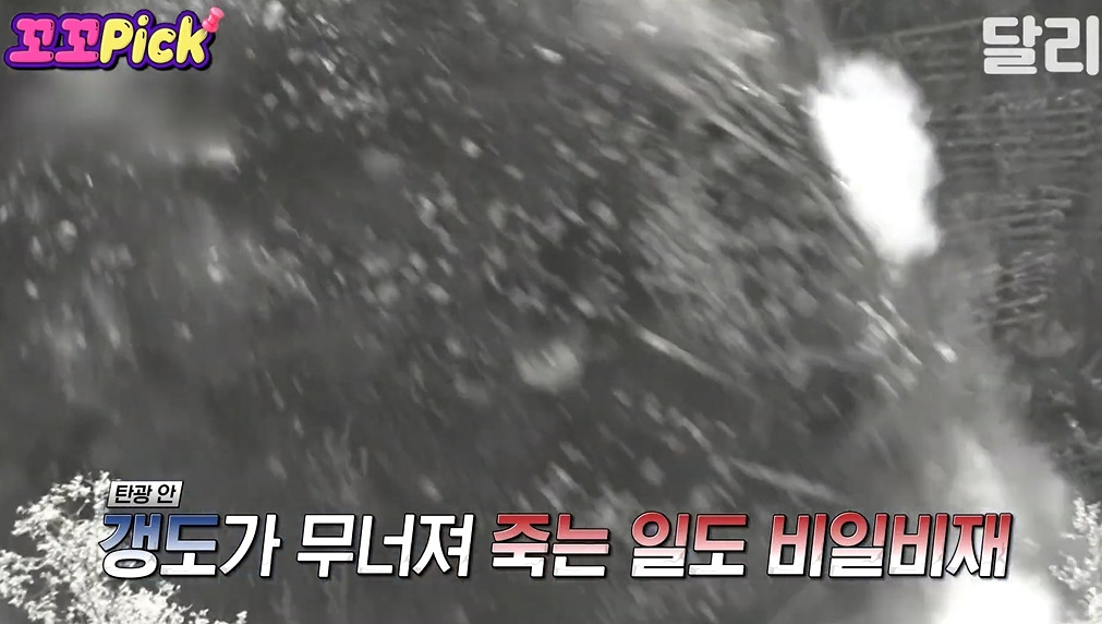 북한에서 6.25국군포로가 돌아오지 못한 이유 | 인스티즈