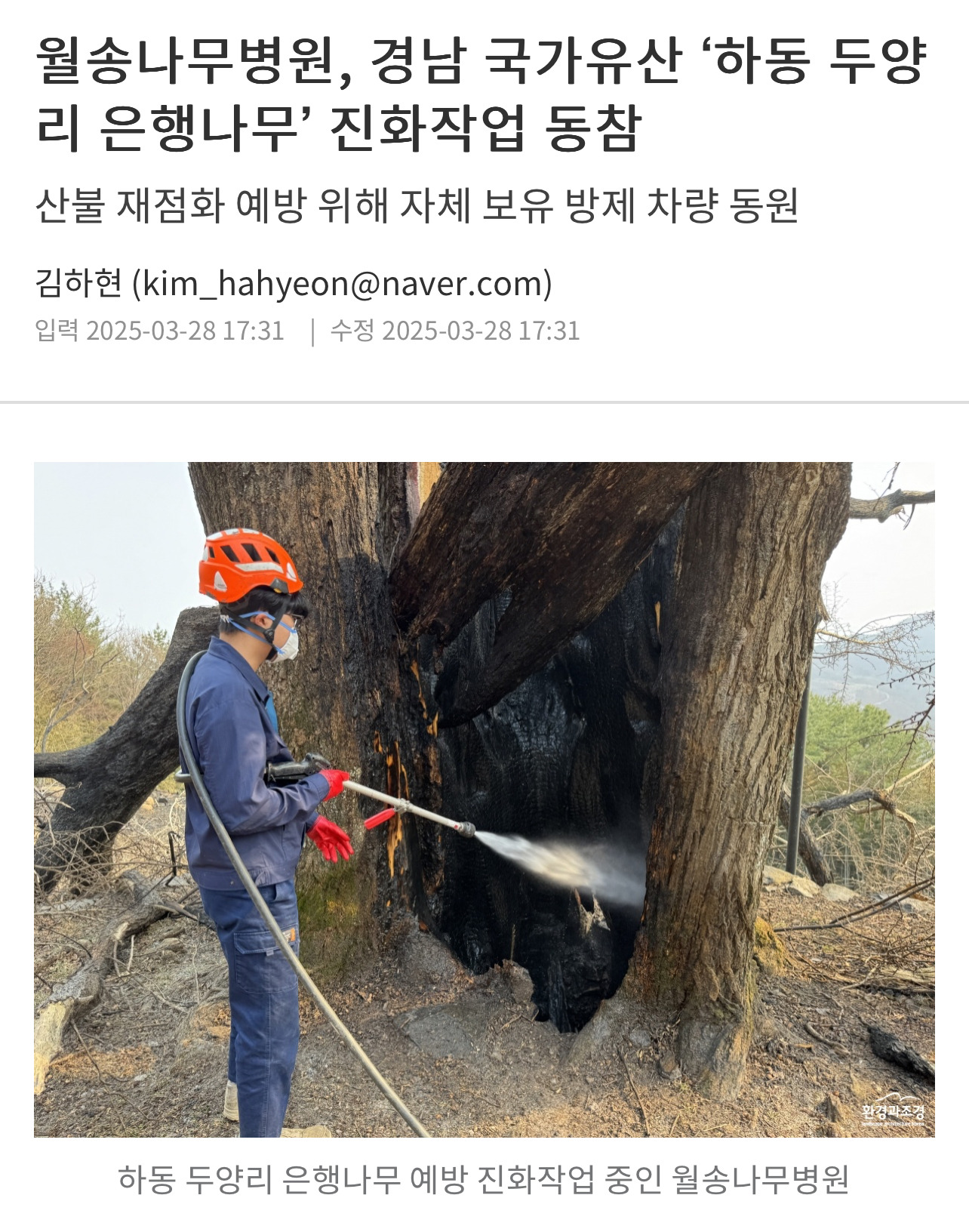 월송나무병원, 경남 국가유산 '하동 두양리 은행나무' 진화작업 동참 | 인스티즈