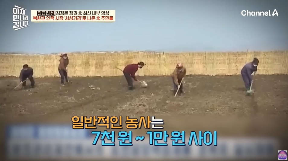 북한에서 노동력 착취로 걸리는거 | 인스티즈