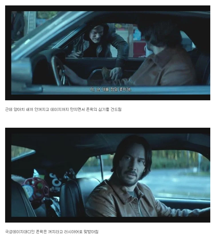 반려견 죽인새끼 복수하려고 사람 100명 죽이는 영화.JPG | 인스티즈