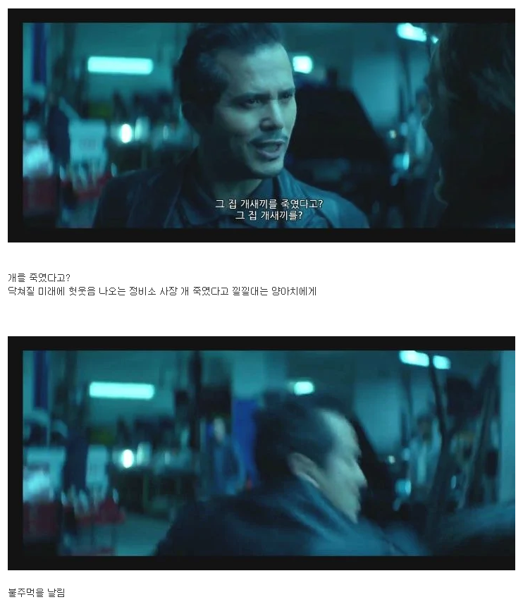 반려견 죽인새끼 복수하려고 사람 100명 죽이는 영화.JPG | 인스티즈