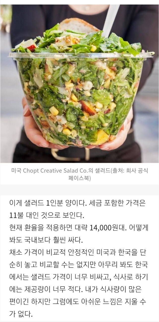  미국식 샐러드 1인분 양