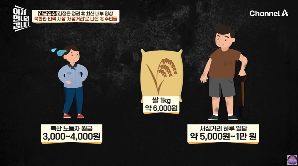 북한에서 노동력 착취로 걸리는거 | 인스티즈