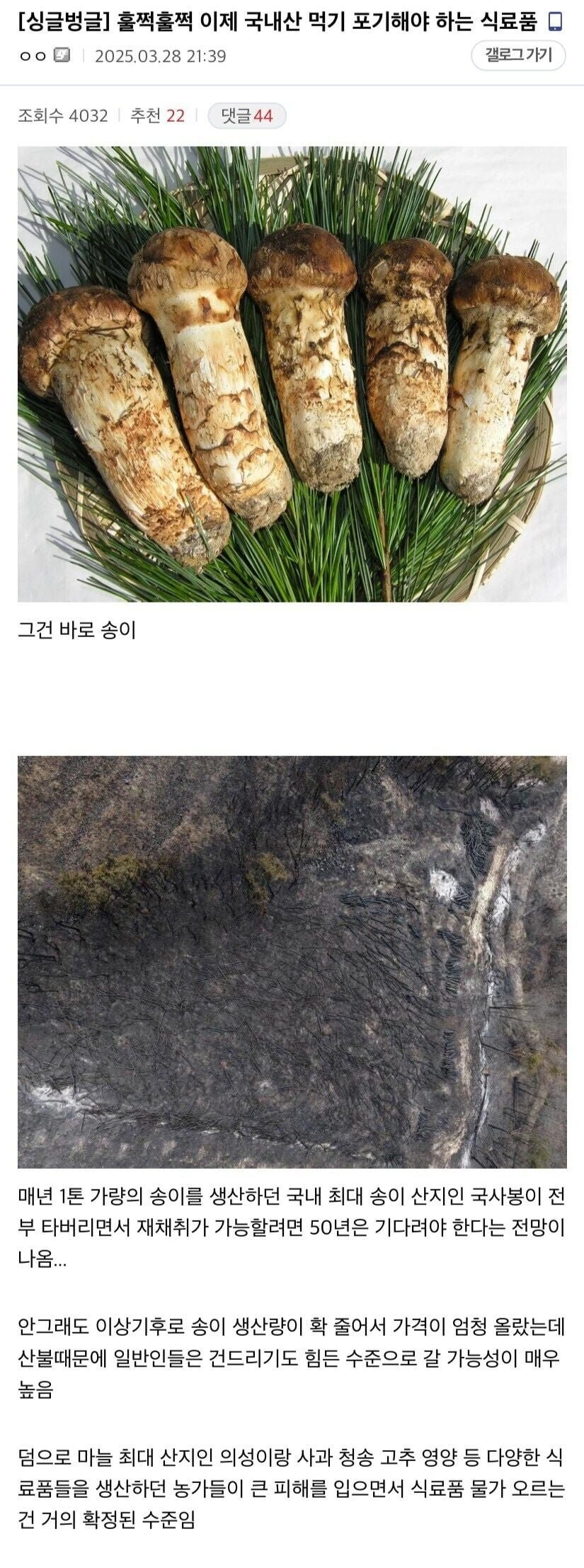  이제 국내산 먹기 포기해야 하는 식료품.jpg