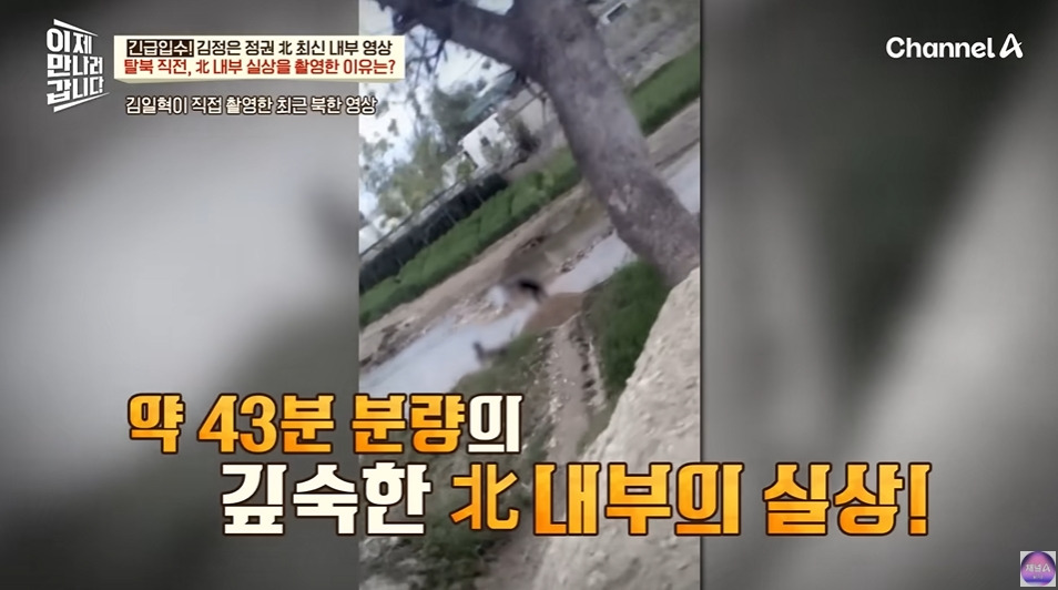 북한에서 노동력 착취로 걸리는거 | 인스티즈
