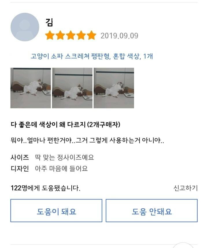 신뢰도 높은 고양이 스크래쳐 리뷰 .jpg | 인스티즈
