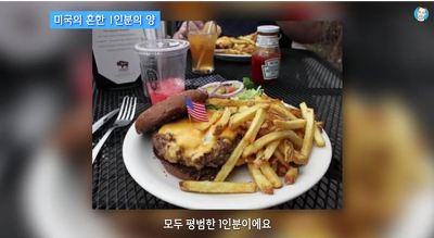 미국의 1인분 양.JPG | 인스티즈