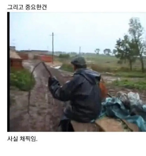 낫들고 협박하는 짤의 진실 | 인스티즈