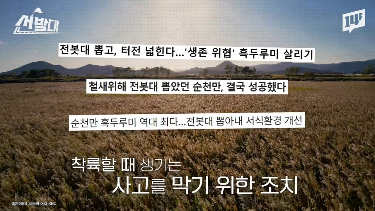 순천이 전봇대 수백 개를 뽑아버린 이유 | 인스티즈