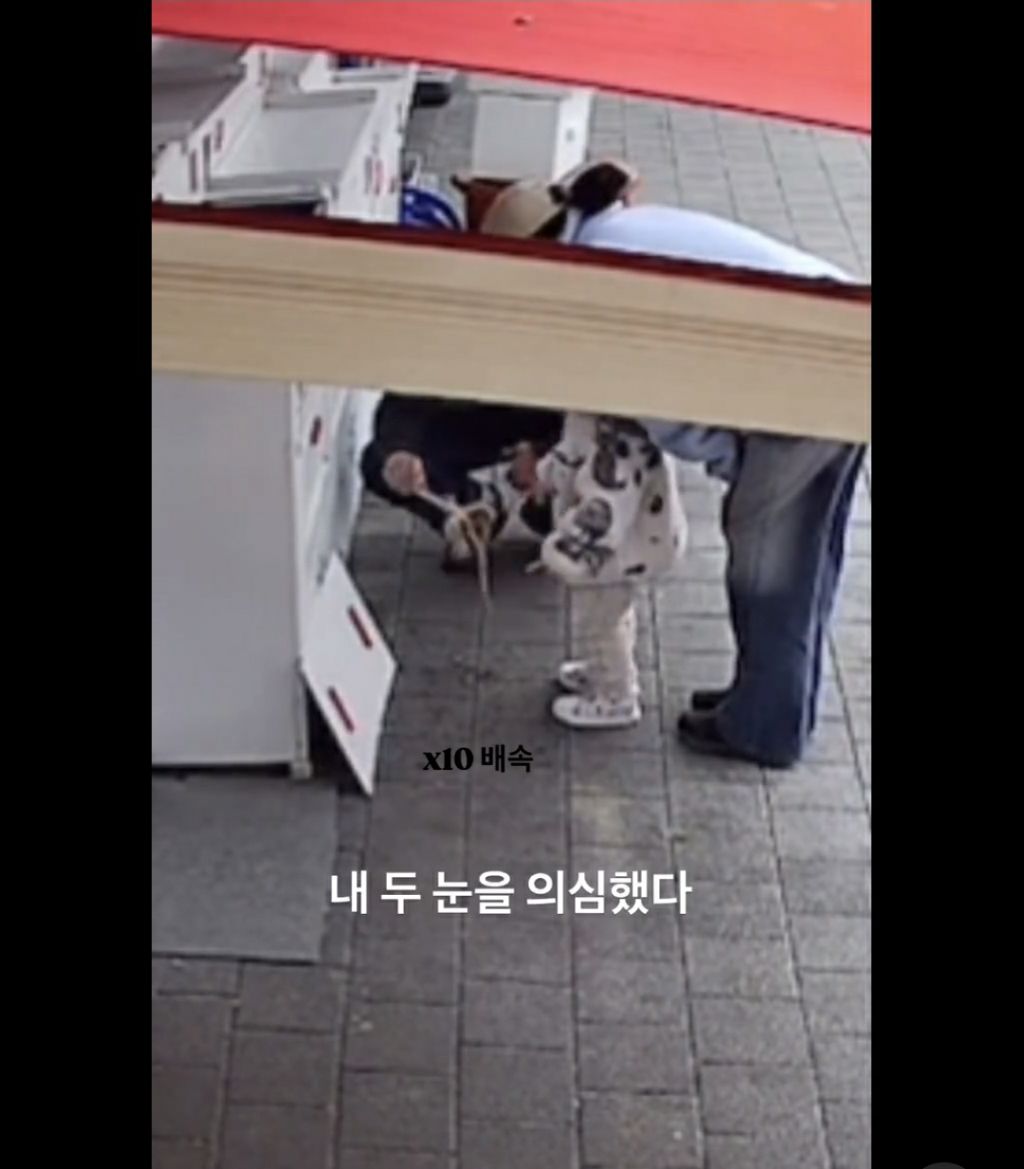 부산 횟집 수조에서 멋대로 쭈꾸미꺼내 촉감놀이한 부모 | 인스티즈