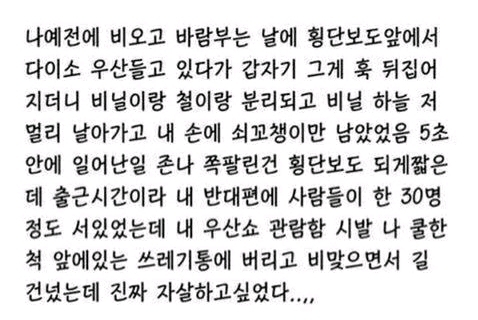  다이소우산 위엄