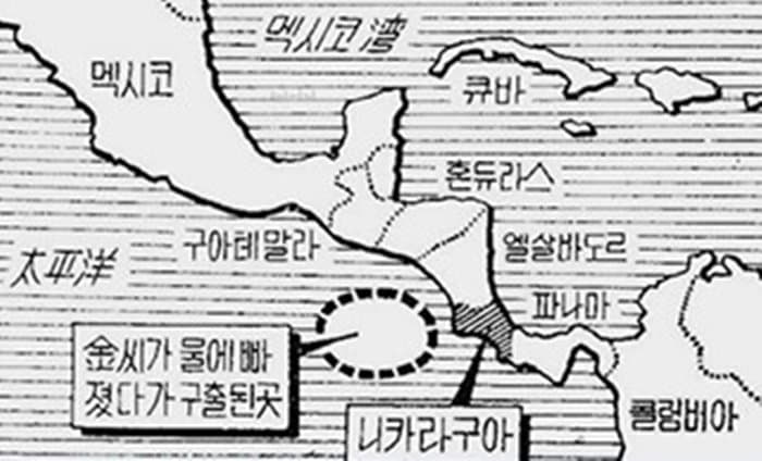 거북이가 살려준 부산사람 | 인스티즈