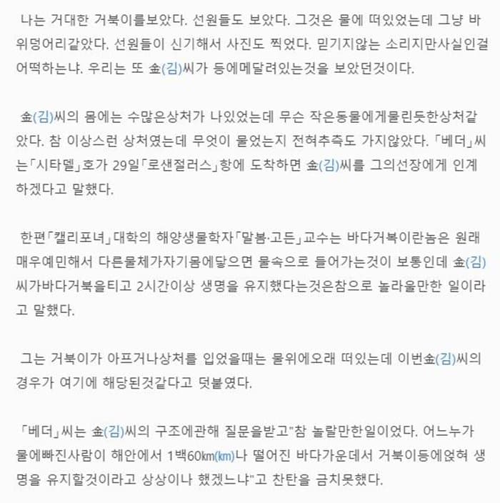 거북이가 살려준 부산사람 | 인스티즈
