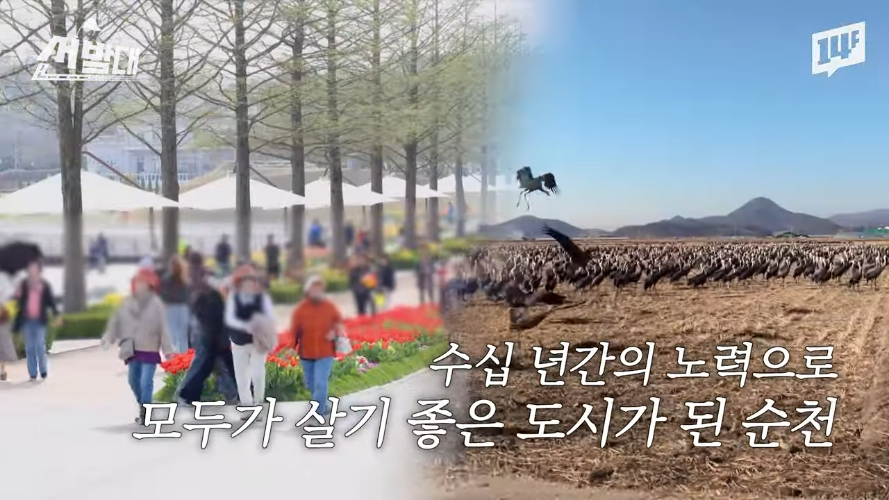 순천이 전봇대 수백 개를 뽑아버린 이유 | 인스티즈