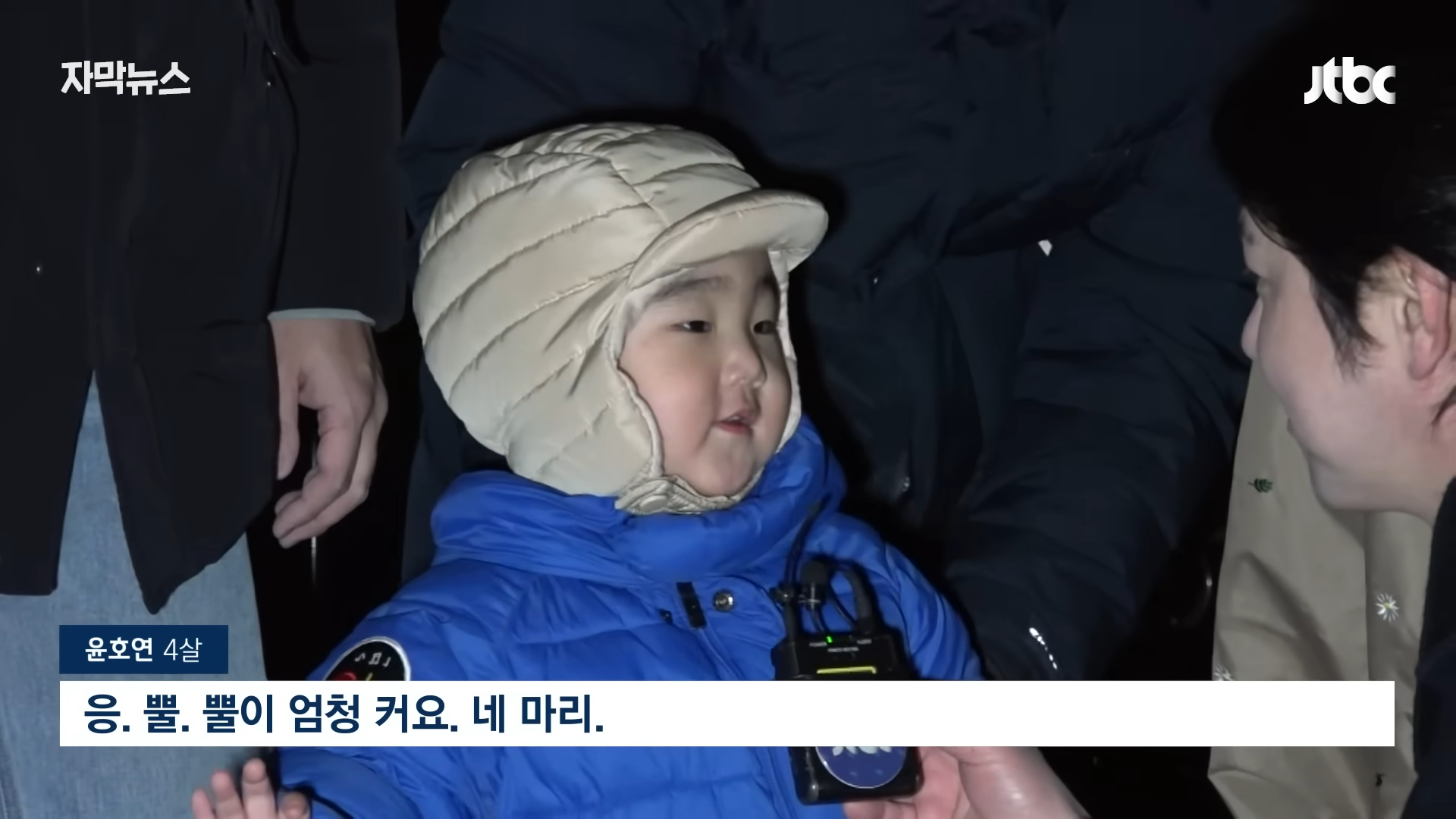 사슴 떼가 출몰했던 순천 근황 | 인스티즈