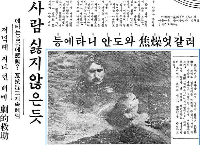 거북이가 살려준 부산사람 | 인스티즈