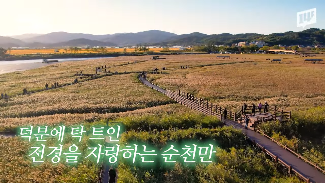 순천이 전봇대 수백 개를 뽑아버린 이유 | 인스티즈