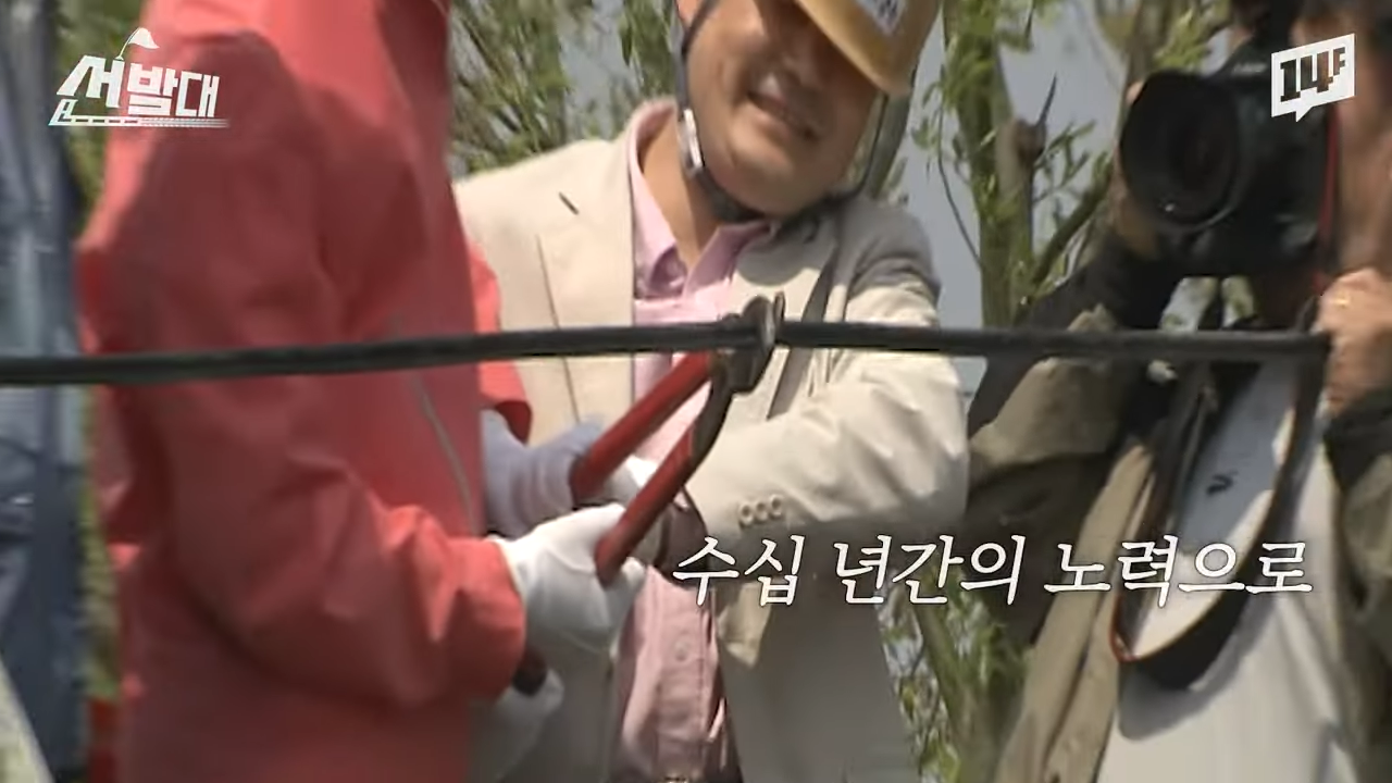 순천이 전봇대 수백 개를 뽑아버린 이유 | 인스티즈