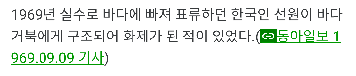 거북이가 살려준 부산사람 | 인스티즈