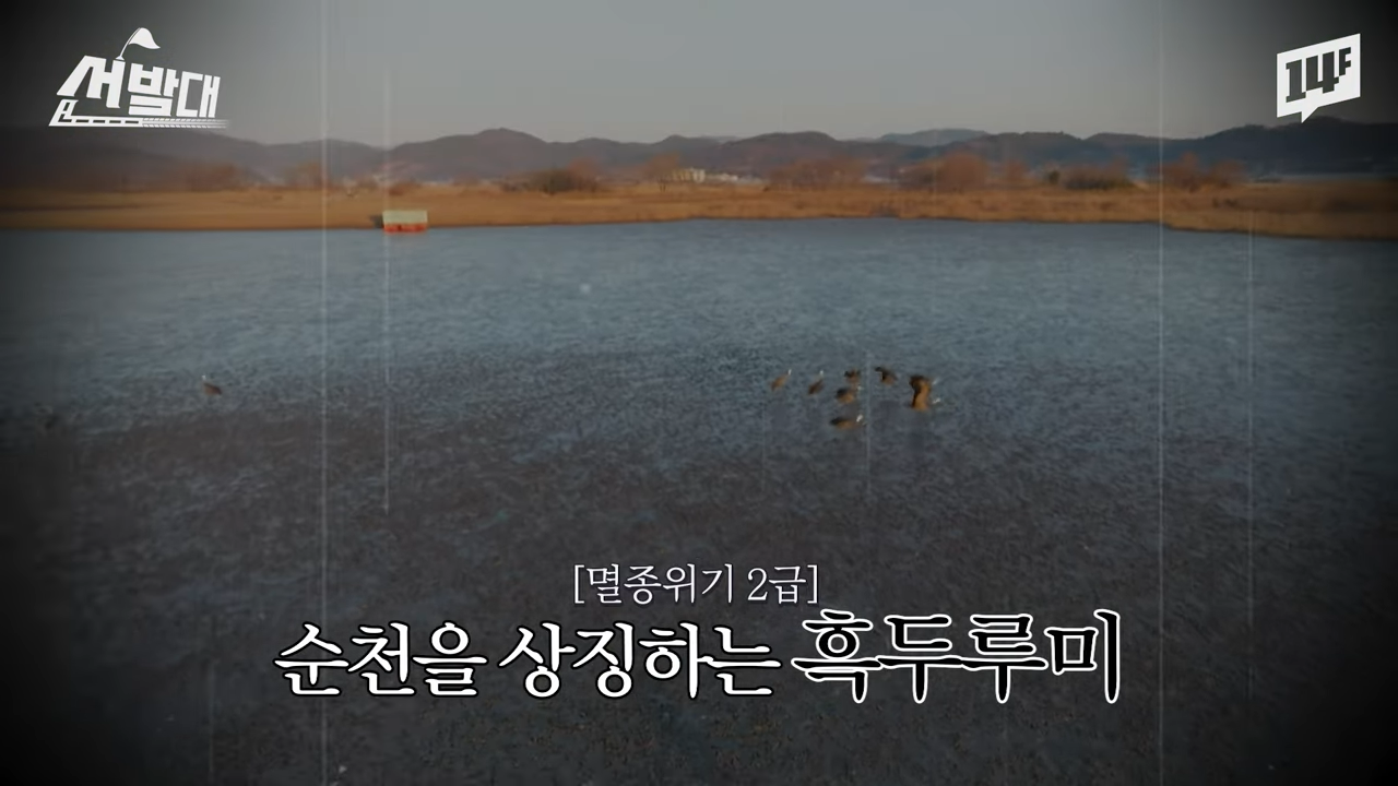  순천이 전봇대 수백 개를 뽑아버린 이유1