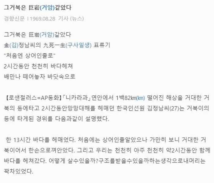 거북이가 살려준 부산사람 | 인스티즈