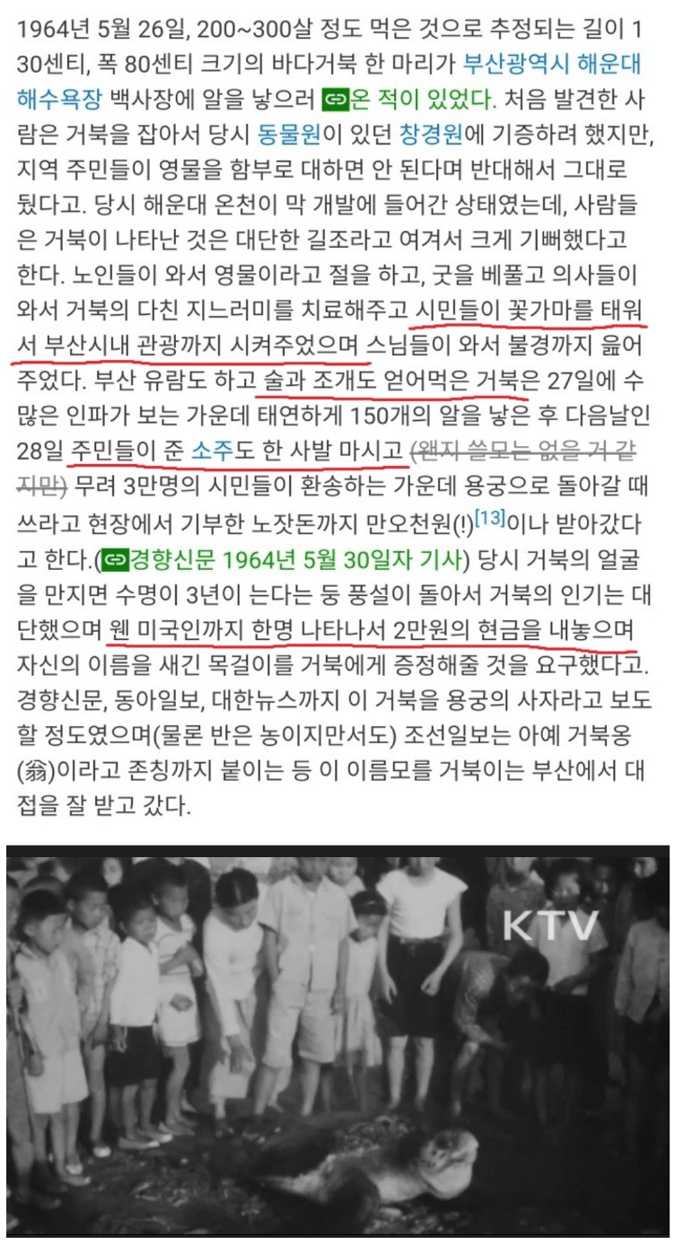 거북이가 살려준 부산사람 | 인스티즈