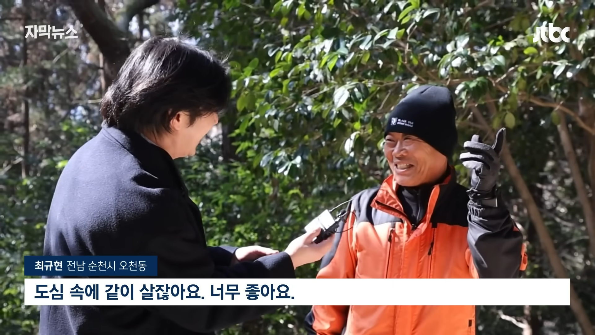 사슴 떼가 출몰했던 순천 근황 | 인스티즈