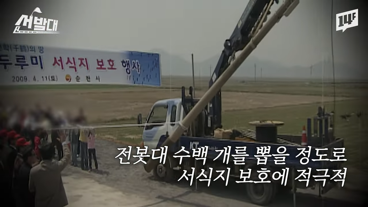 순천이 전봇대 수백 개를 뽑아버린 이유 | 인스티즈