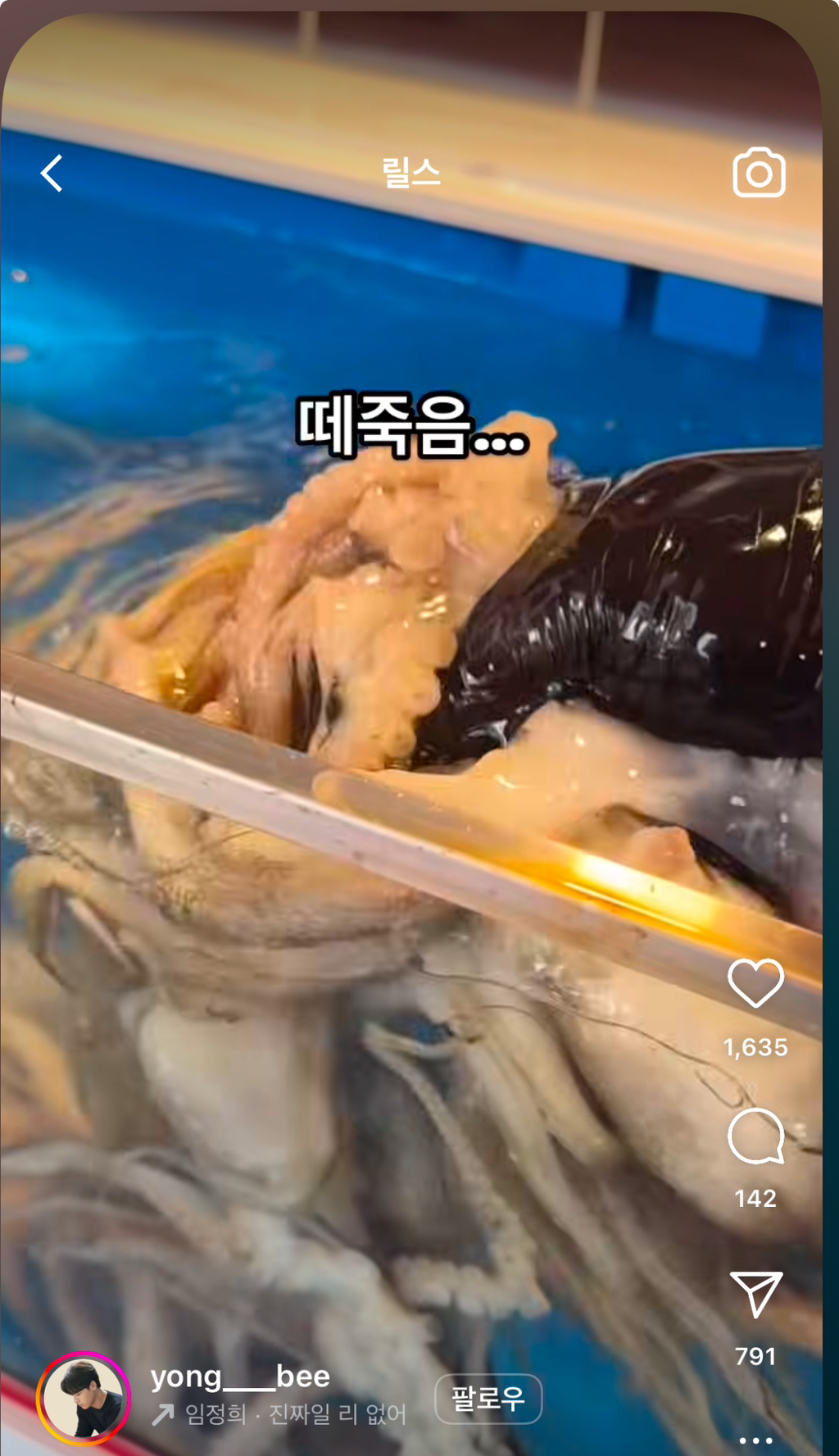 부산 횟집 수조에서 멋대로 쭈꾸미꺼내 촉감놀이한 부모 | 인스티즈