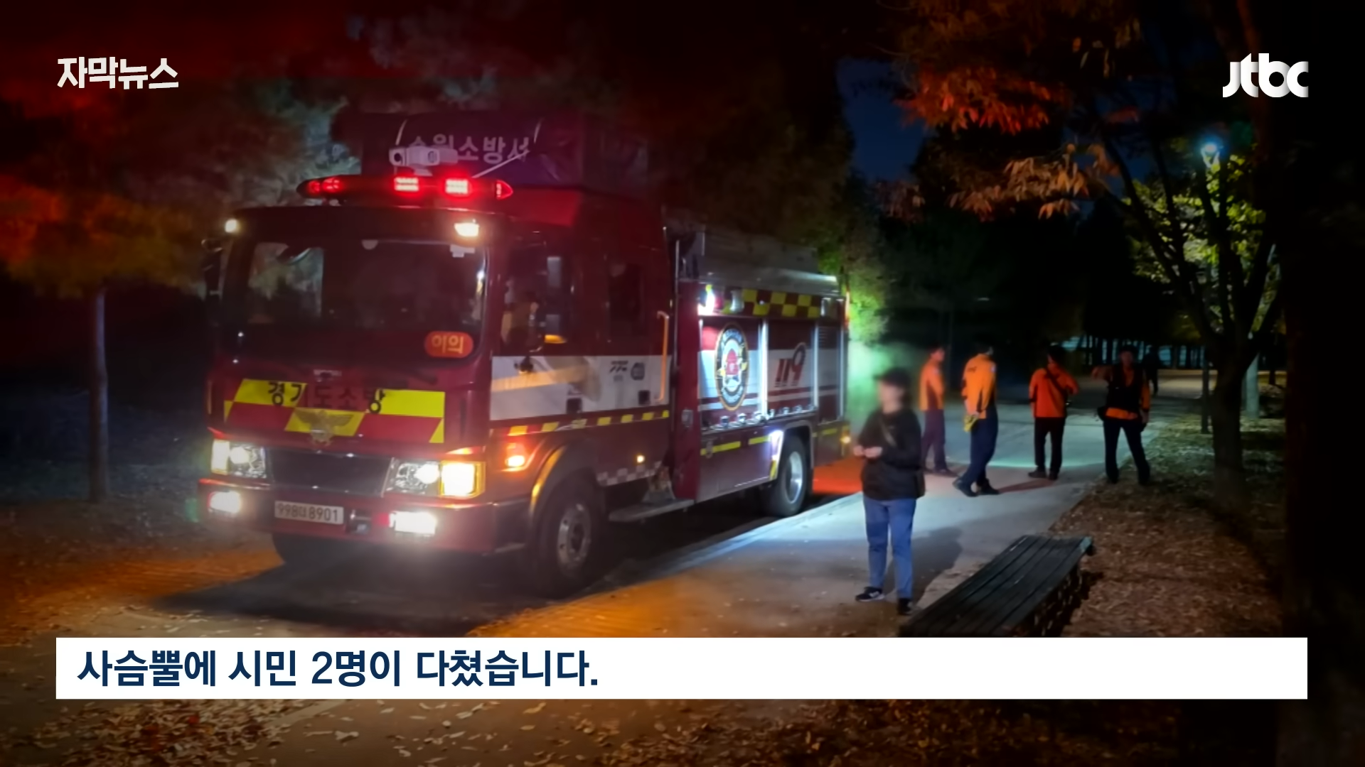 사슴 떼가 출몰했던 순천 근황 | 인스티즈