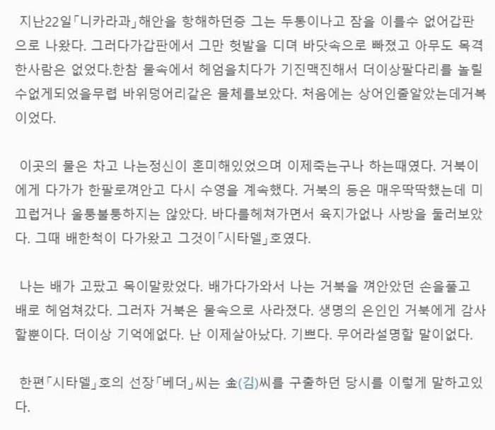 거북이가 살려준 부산사람 | 인스티즈