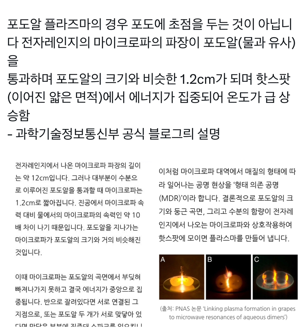 전자레인지에서 막 익혀낸 옥수수를 햇살좋은 곳에 두면.x | 인스티즈